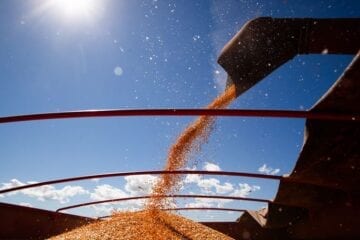 Produção de grãos deve chegar a 268,3 milhões de toneladas, diz Conab
