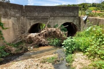 Vereador Rael apresenta situação da micro bacia do córrego Boa Vista a secretário interino de Meio Ambiente