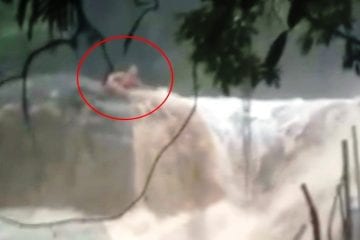 Jovem é arrastado por cabeça d’água em cachoeira; veja o vídeo