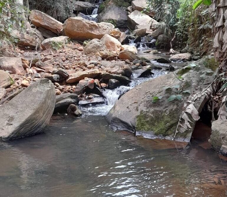 Dia da Água: Secretaria de Meio Ambiente e DAE lançam ações em Monlevade