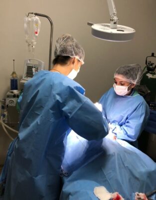 Dr. Pet: três anos de inovação e pioneirismo no cuidado com a saúde dos bichos