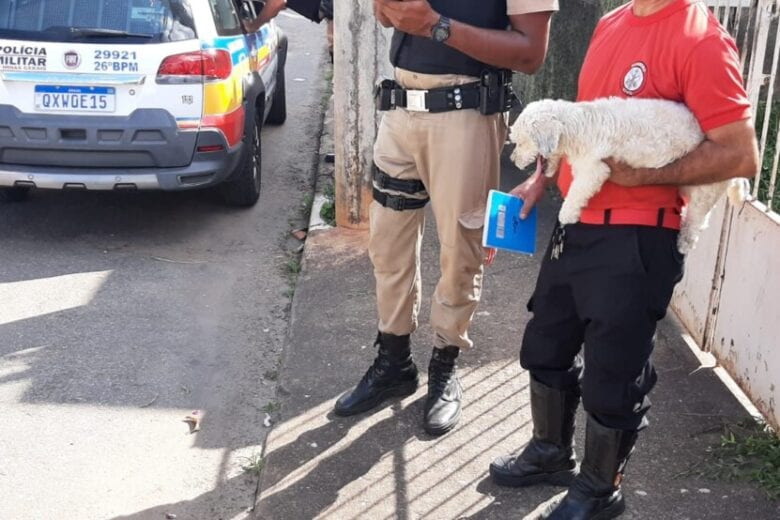 Homem é preso pela PM por furtar cachorro no Centro de Itabira
