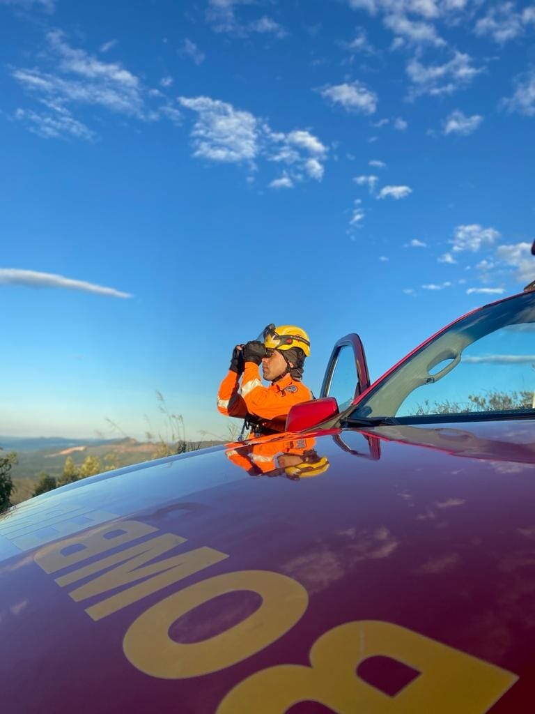 Bombeiros procuram por criança desaparecida em mata fechada