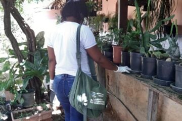 Levantamento da Prefeitura indica que Ipatinga vive surto da dengue