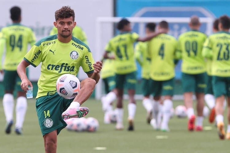 Libertadores: Palmeiras enfrenta especialista em complicar brasileiros