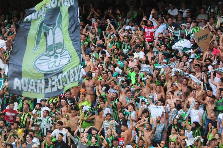 América grande, hoje