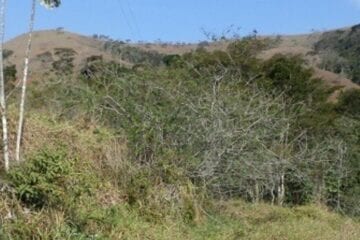Estado lança edital de contratação de obra de descontaminação de solo na Zona da Mata