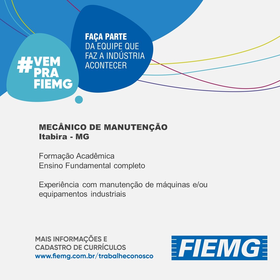fiemg