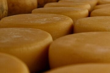 Governador anuncia medidas de fortalecimento da produção de queijo artesanal em Minas Gerais