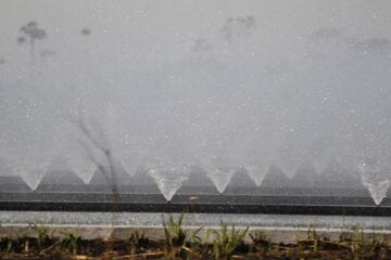 Agricultura lança programa para financiar irrigação no Nordeste