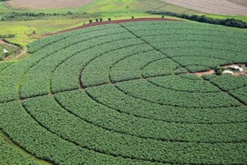 Brasil negocia aumento da importação de potássio da Jordânia
