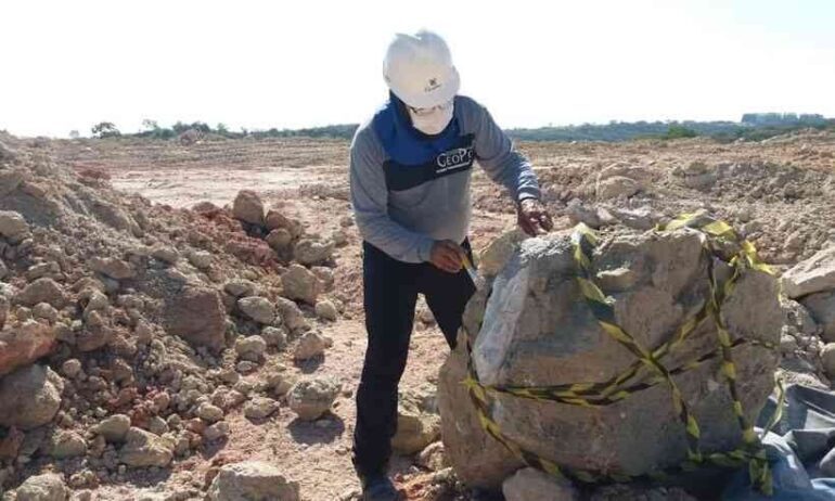Fósseis de dinossauros são encontrados em empresa de mineração