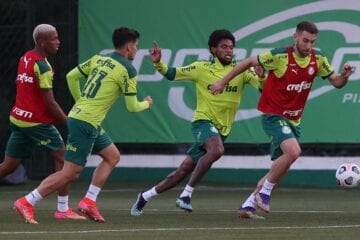 Palmeiras encara Universitário com seriedade em busca da 2° melhor campanha