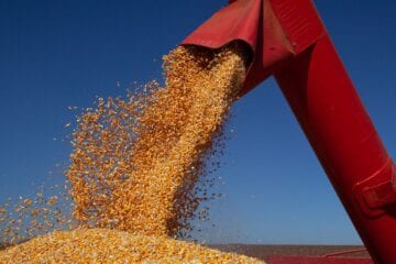Balança comercial tem déficit de US$ 1,3 bi em novembro