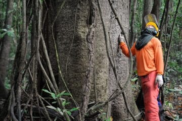 Empresas apostam em economia circular para reduzir impactos ambientais