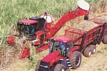 Produção mineira de cana-de-açúcar tem volume recorde na safra 2020/2021