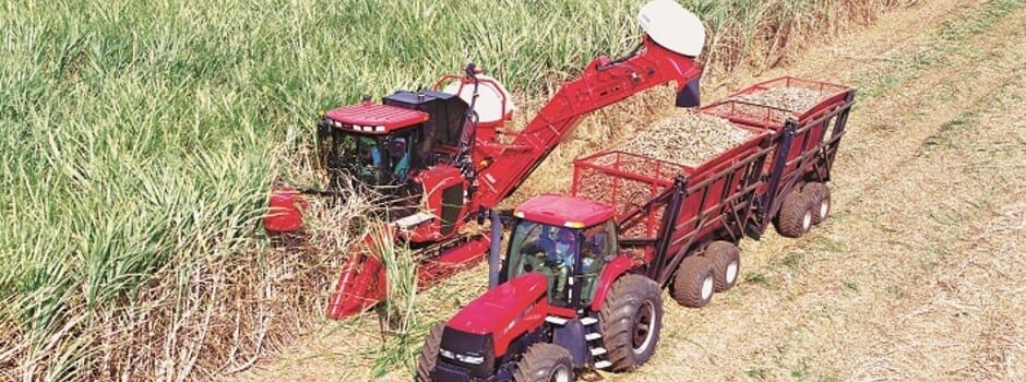 Produção mineira de cana-de-açúcar tem volume recorde na safra 2020/2021