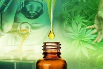 Conheça o canabidiol, derivado da maconha aprovado pela Anvisa