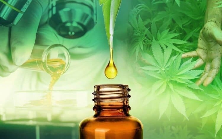 Conheça o canabidiol, derivado da maconha aprovado pela Anvisa