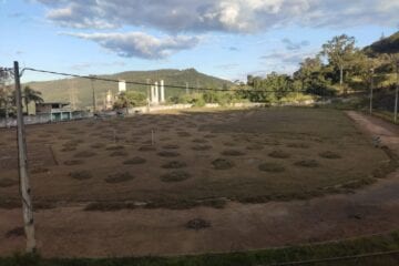 Após um bom tempo sem cuidados, Estádio Louis Ensch recebe capina em Monlevade
