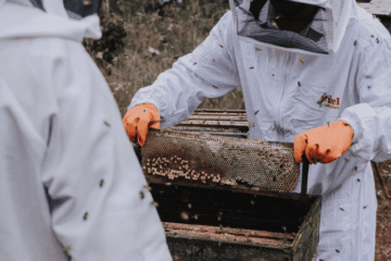 O outro lado da pandemia: o arrocho vivido pelos comércios da região