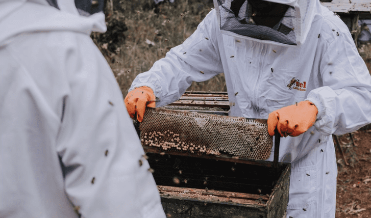 O outro lado da pandemia: o arrocho vivido pelos comércios da região