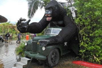 Criança fica em estado grave ao cair de atração no Beto Carrero World
