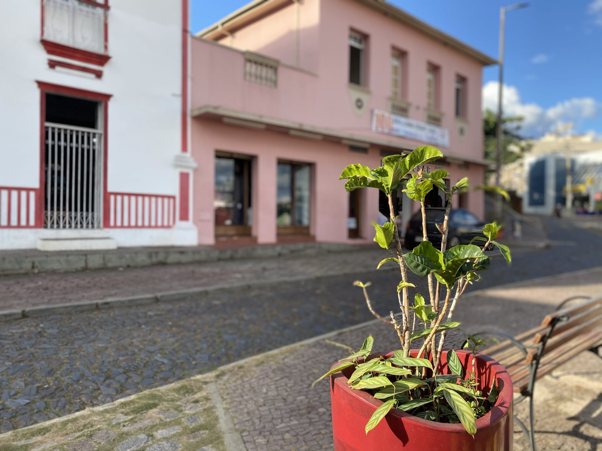 casa cesar