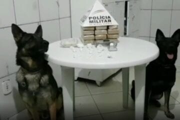 Homem tenta se esconder embaixo d’água, mas é encontrado e acaba preso