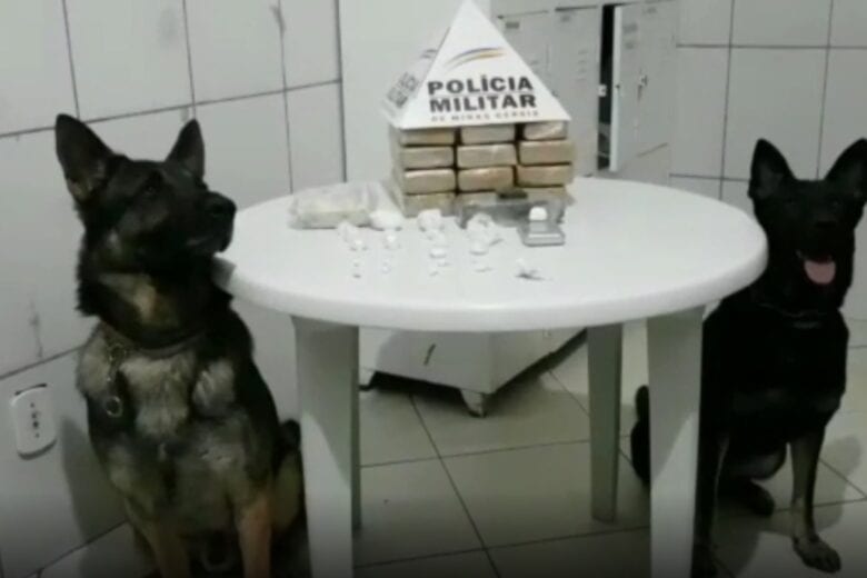 Homem tenta se esconder embaixo d’água, mas é encontrado e acaba preso