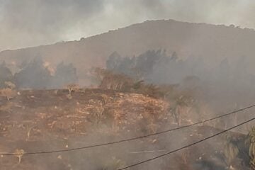 Candidópolis em chamas: incêndio em vegetação ameaça casas; veja os vídeos