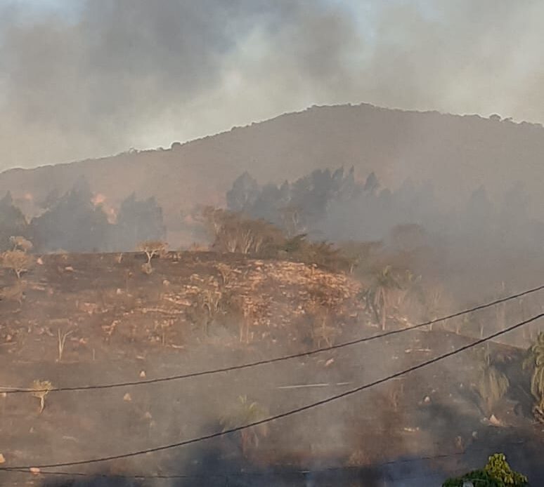 Candidópolis em chamas: incêndio em vegetação ameaça casas; veja os vídeos