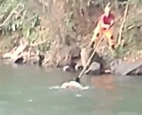 Homem agride mãe, tenta se jogar de cachoeira e é salvo pelos Bombeiros