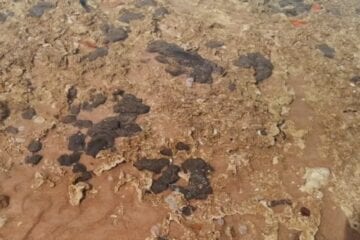 Bahia identifica e retira novas manchas de óleo no litoral
