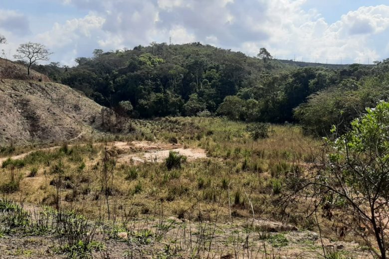 Homem é socorrido após suposto ataque de abelhas em Itabira