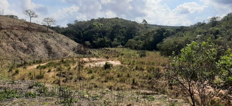 Homem é socorrido após suposto ataque de abelhas em Itabira