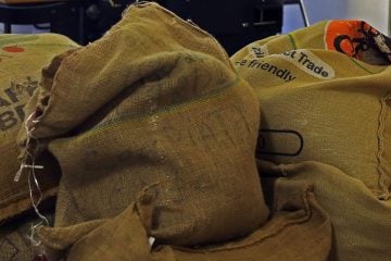 CMN destina R$ 1,3 bi para recompor perdas em cafezais após geadas