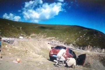 Carro cai em penhasco com uma pessoa a bordo, que sobrevive; veja vídeo