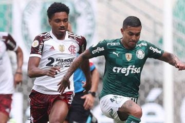 Flamengo e Palmeiras garantem premiação milionária na Libertadores; veja
