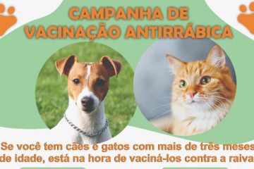 Vacinação Antirrábica: Monlevade imuniza cães e gatos neste sábado