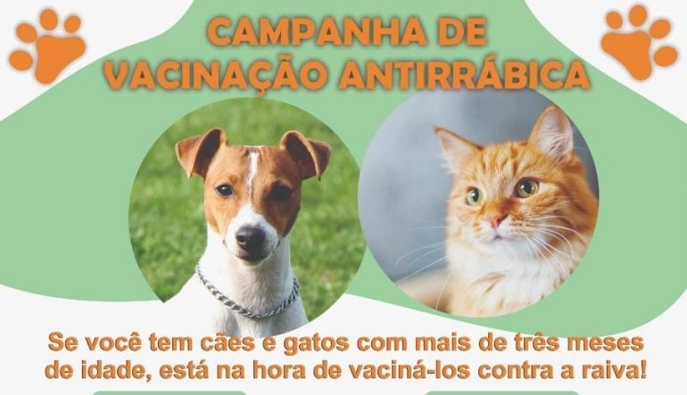 Vacinação Antirrábica: Monlevade imuniza cães e gatos neste sábado