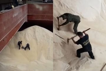 Polícia Federal cava carga de açúcar e acha 155 kg de cocaína; veja vídeo