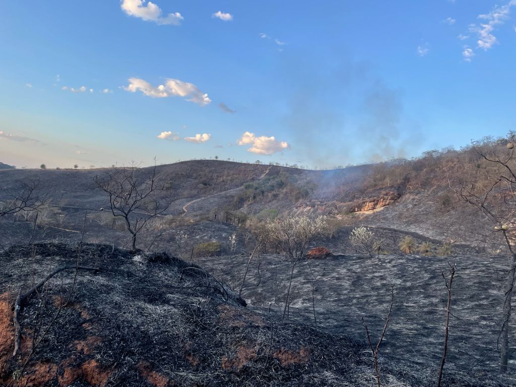 Incêndio destrói área de fazenda da União em Itabira