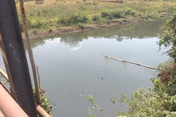 Resgate é acionado após homem desaparecer no Rio Santa Bárbara