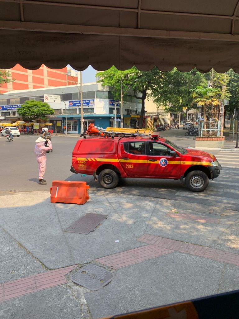 Mulher foi encaminhada ao hospital após ataque de abelhas no centro de BH