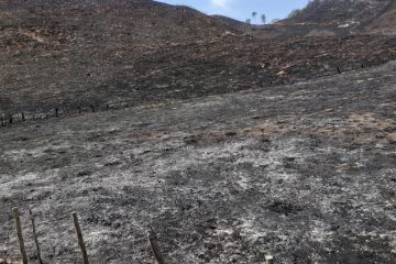 Produtor rural e funcionário são multados em mais de R$273 mil por incêndio florestal em Ferros