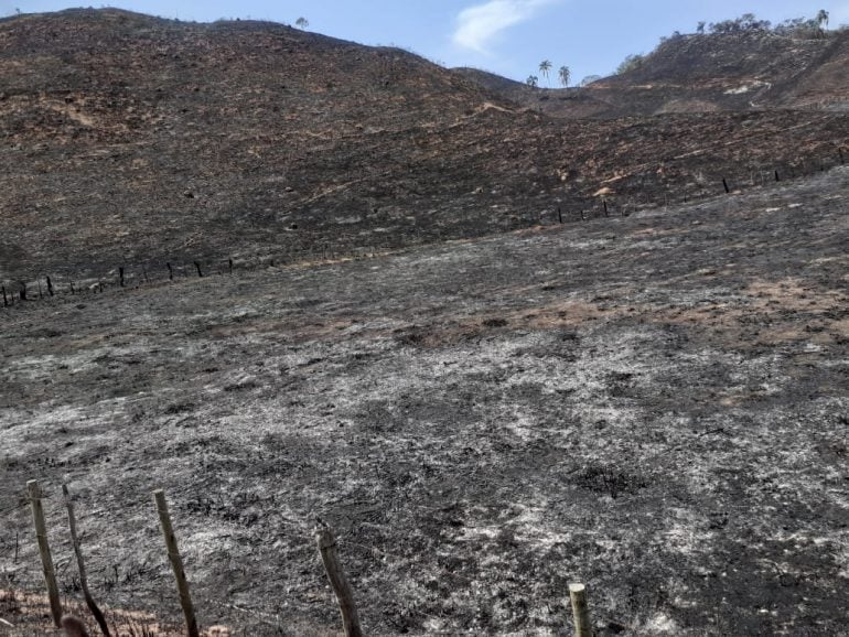 Produtor rural e funcionário são multados em mais de R$273 mil por incêndio florestal em Ferros