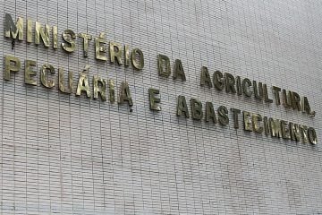 Casos de mal da vaca louca não são risco à produção bovina, diz OIE
