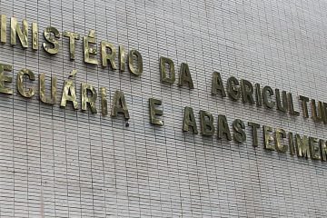 Casos de mal da vaca louca não são risco à produção bovina, diz OIE