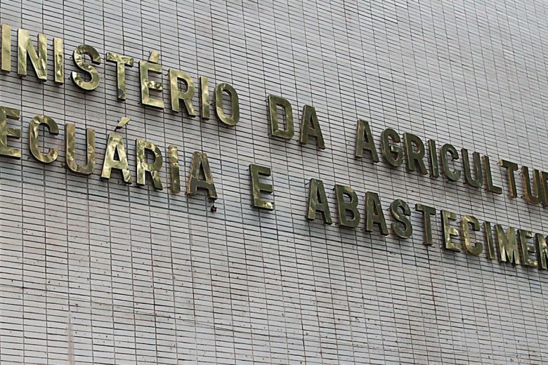 Casos de mal da vaca louca não são risco à produção bovina, diz OIE